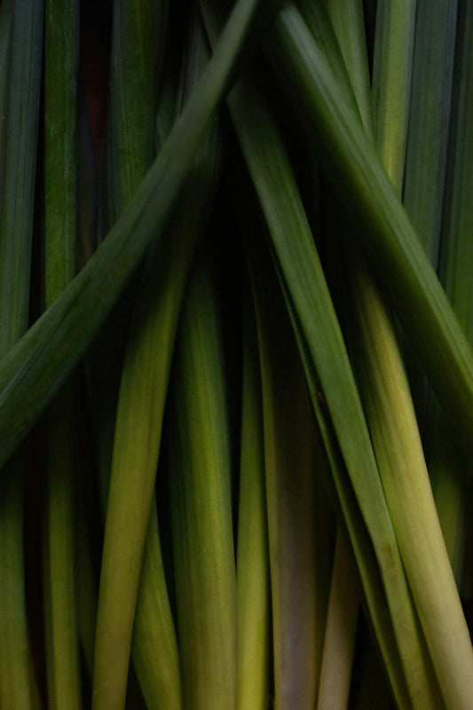 Lemongrass image 0