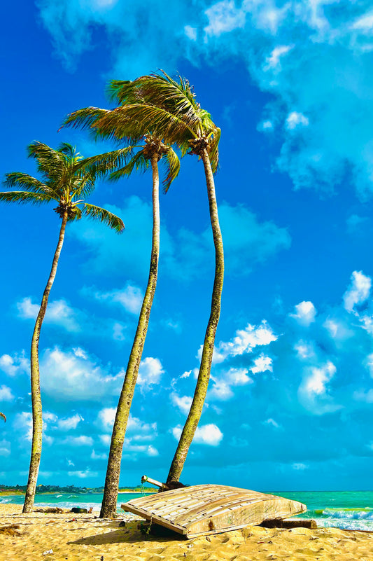 Tradewinds image 0