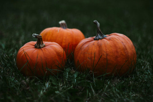 Spiced Pumpkin image 0