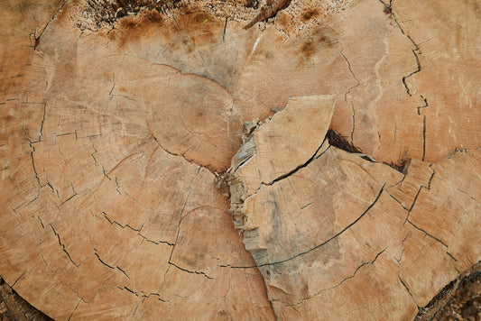 Polynesian Sandalwood image 0