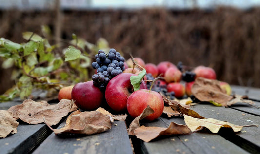 Fall Gatherings image 0