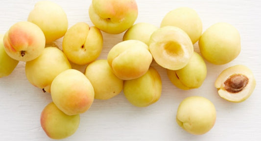 White Apricot image 0