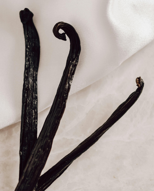 Vanilla Bean image 0