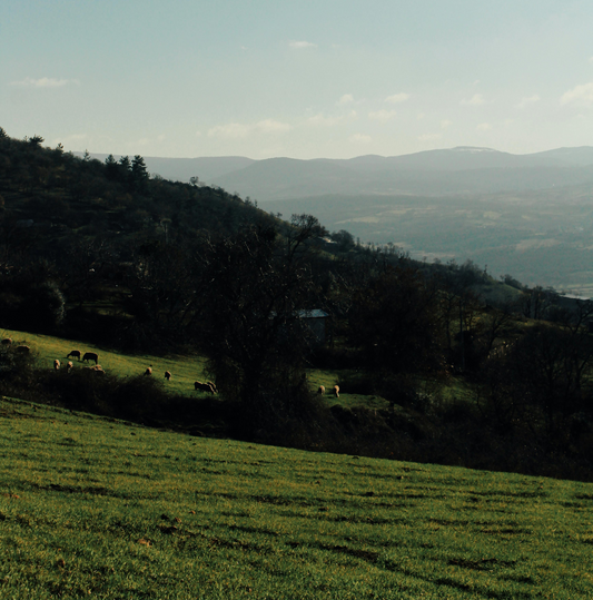 English Countryside image 0
